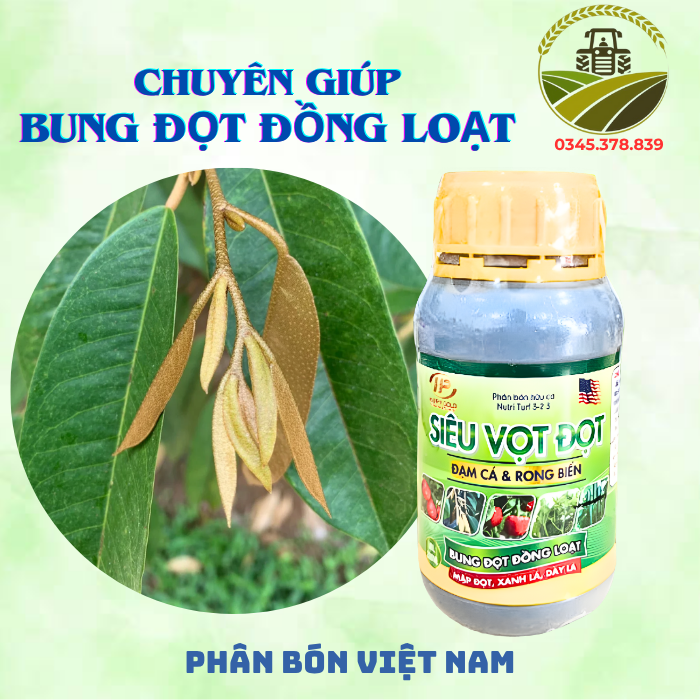 SIÊU VỌT ĐỌT 